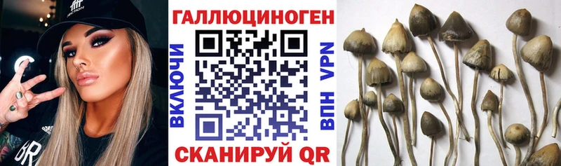 Псилоцибиновые грибы GOLDEN TEACHER  ссылка на мегу как зайти  Питкяранта 